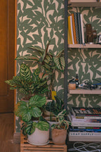Leafy Green