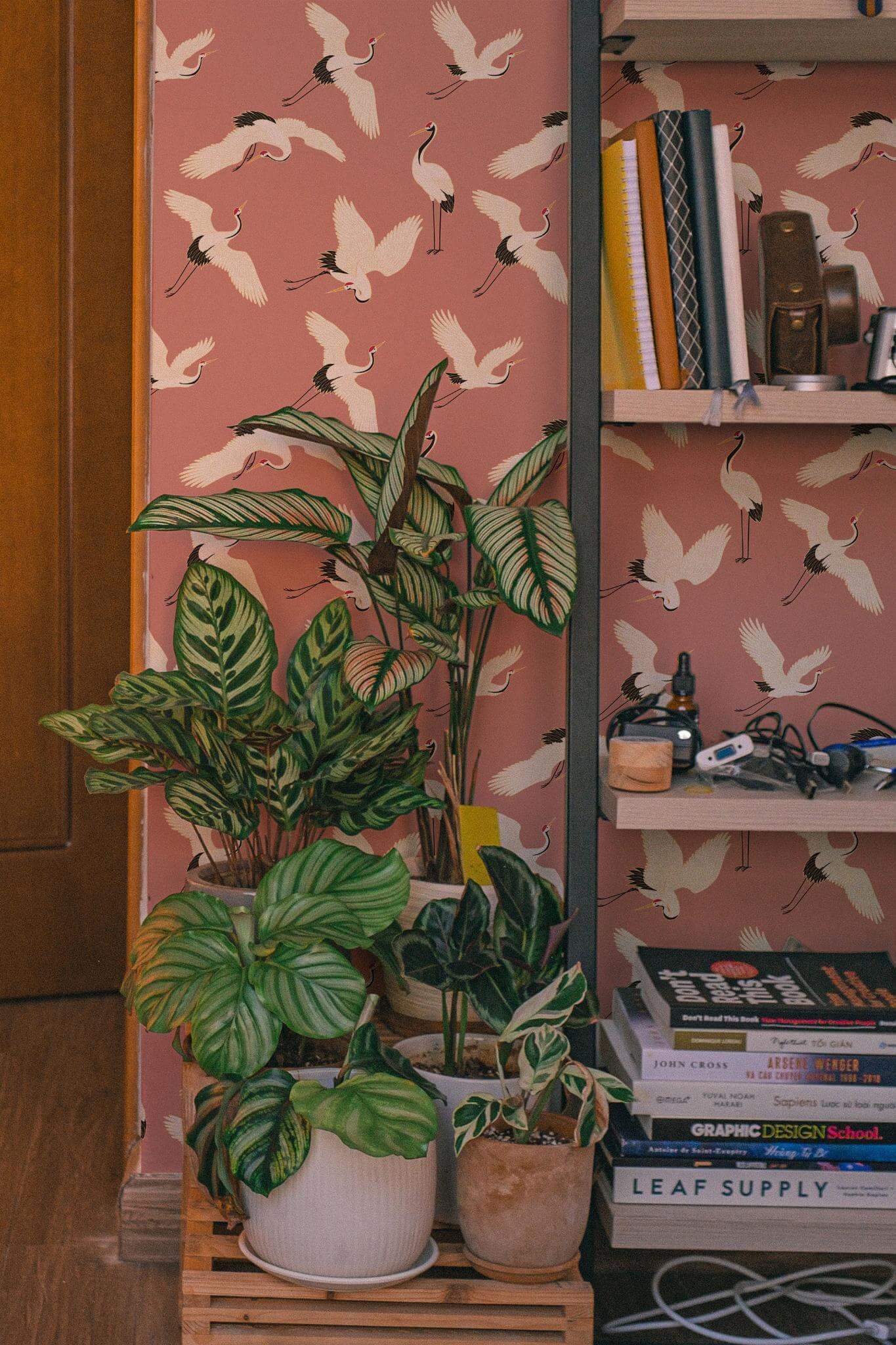 Pink Aviary