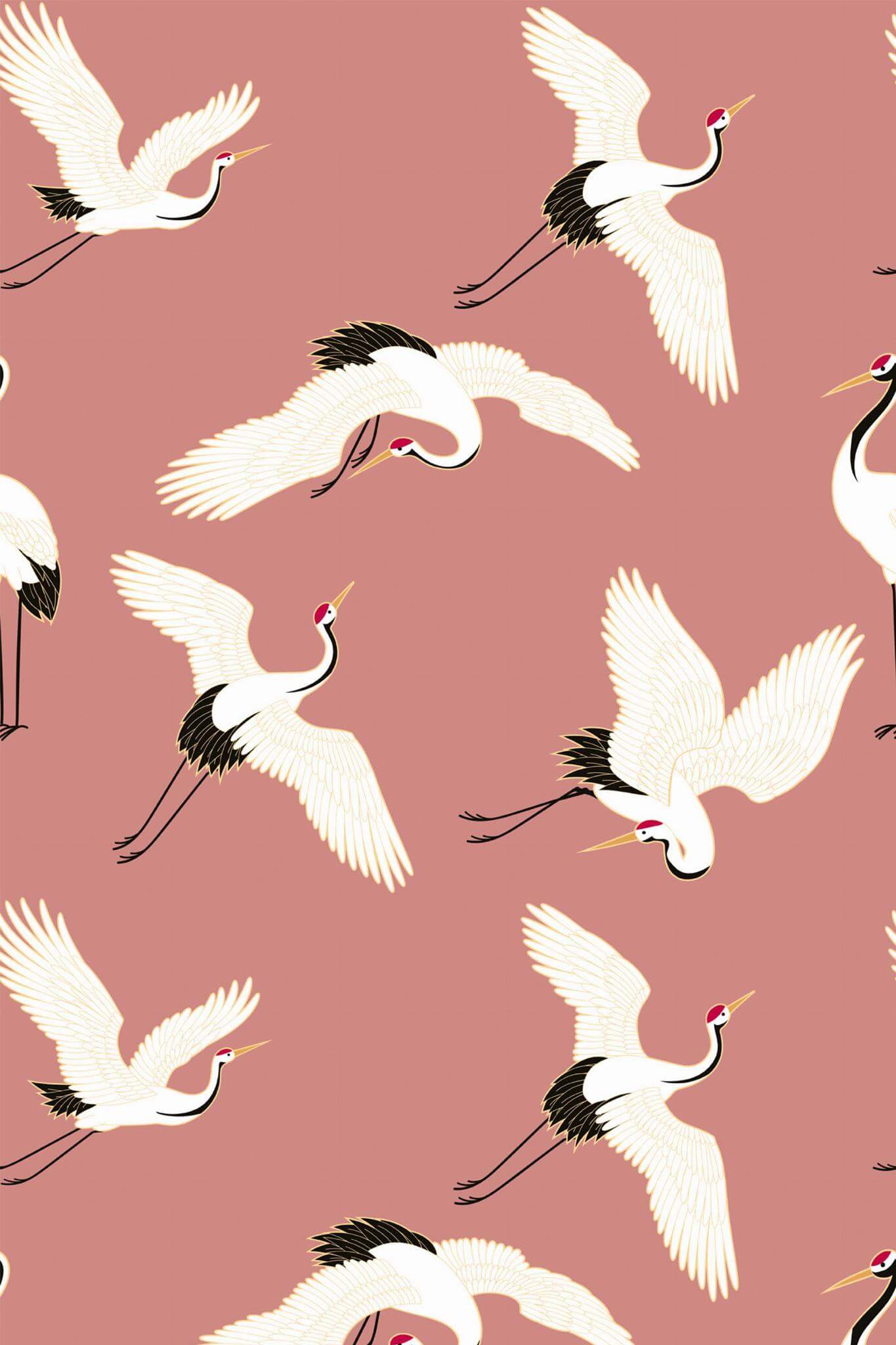 Pink Aviary