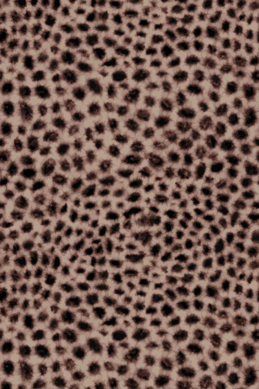 Soft Leopard