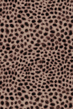 Soft Leopard