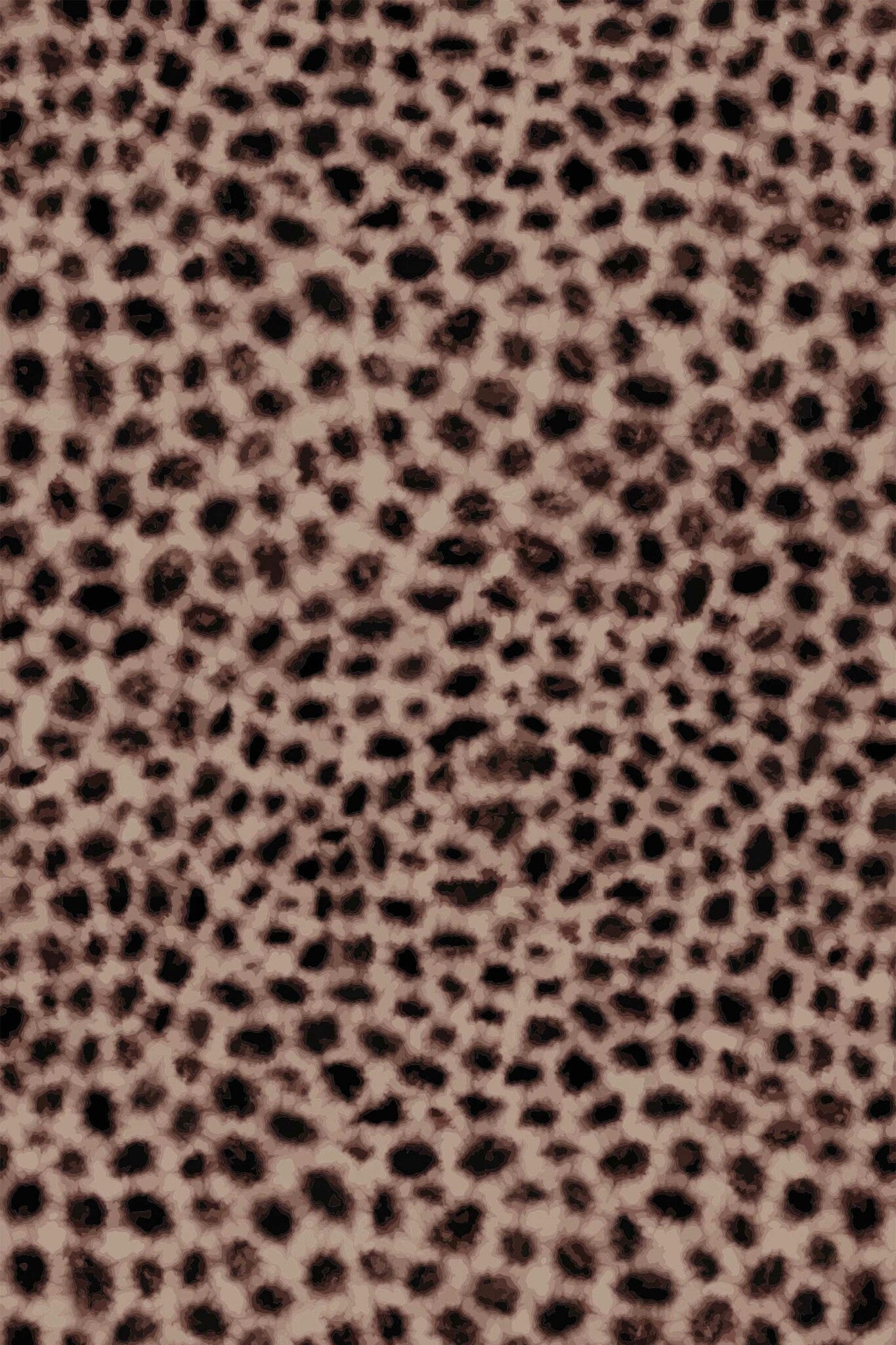 Soft Leopard