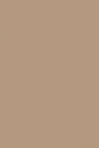 Solid Mocha