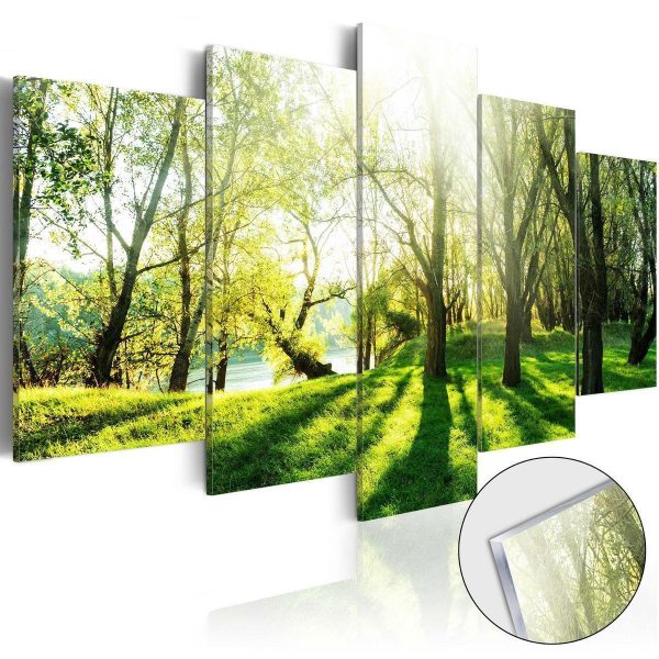 Acrylic Print - Green Glade