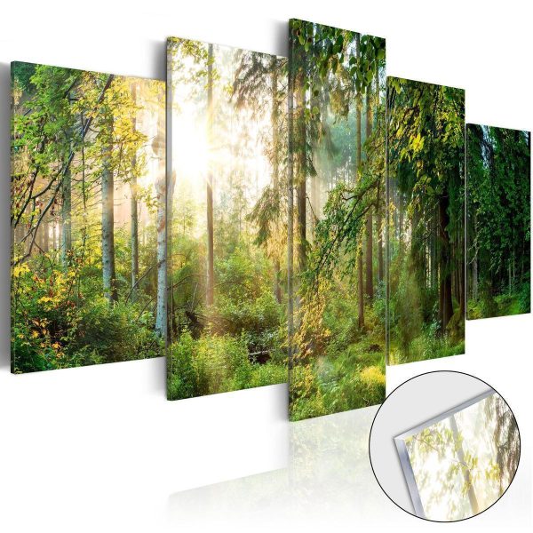 Acrylic Print - Green Sanctuary