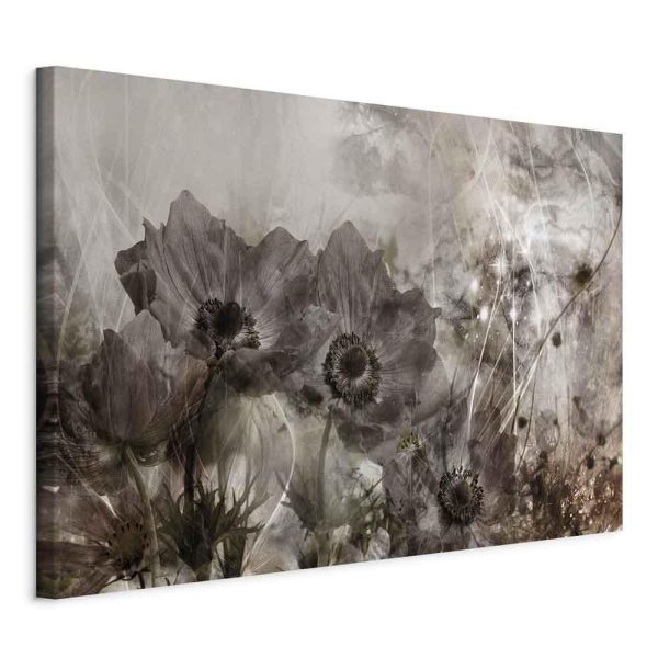Canvas Print - Anemones in Sepia (1 Part) Wide