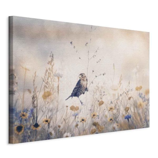 Canvas Print - August Melody