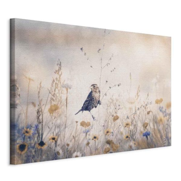 Canvas Print - August Melody