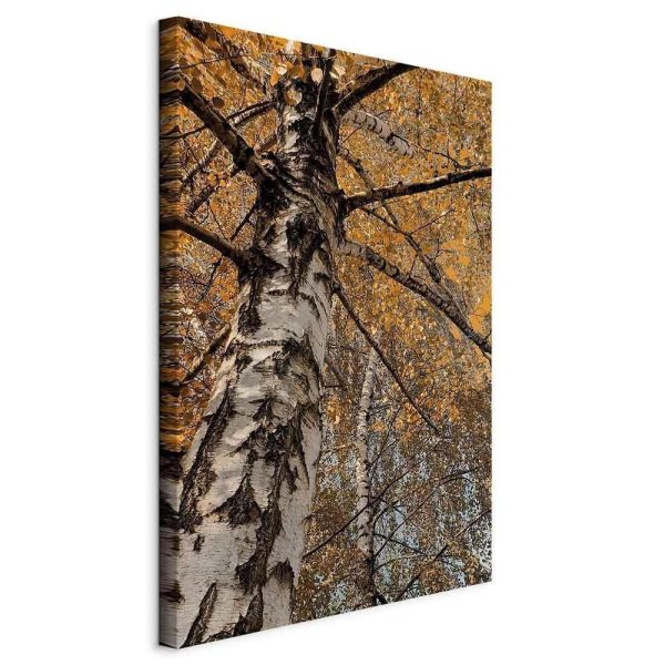 Canvas Print - Autumn Colours (1 Part) Vertical