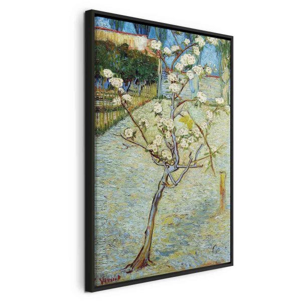 Canvas Print - Blossoming Pear Tree