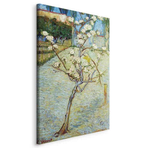 Canvas Print - Blossoming Pear Tree