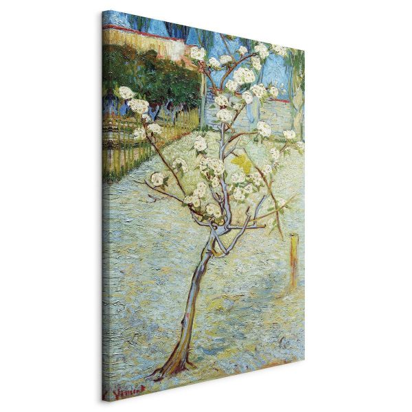 Canvas Print - Blossoming Pear Tree