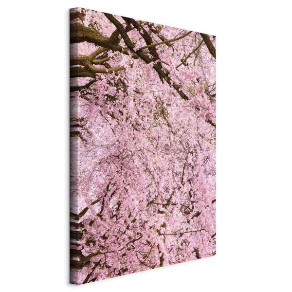 Canvas Print - Cherry Tree (1 Part) Vertical