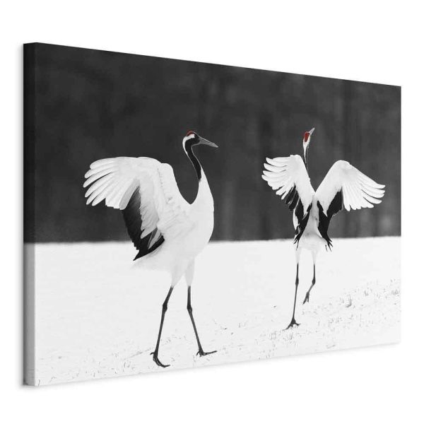 Canvas Print - Dancing Cranes (1 Part) Wide