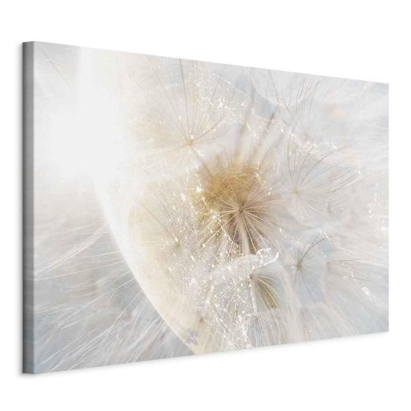 Canvas Print - Dandelion in the Sun (1 Part) Wide