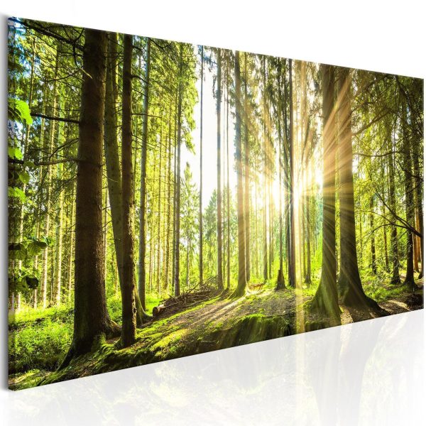 Canvas Print - Daylight - Image 5