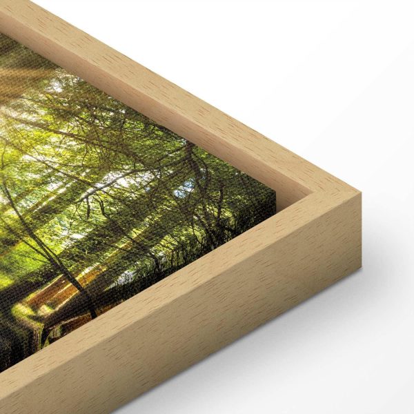 Canvas Print - Daylight - Image 13