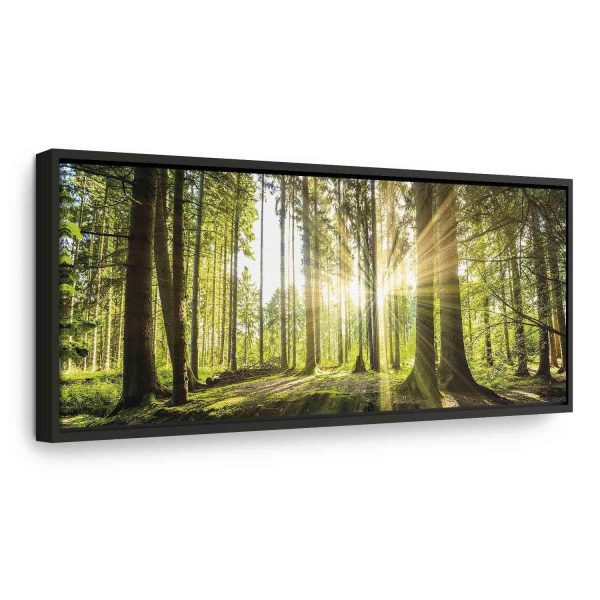 Canvas Print - Daylight - Image 3