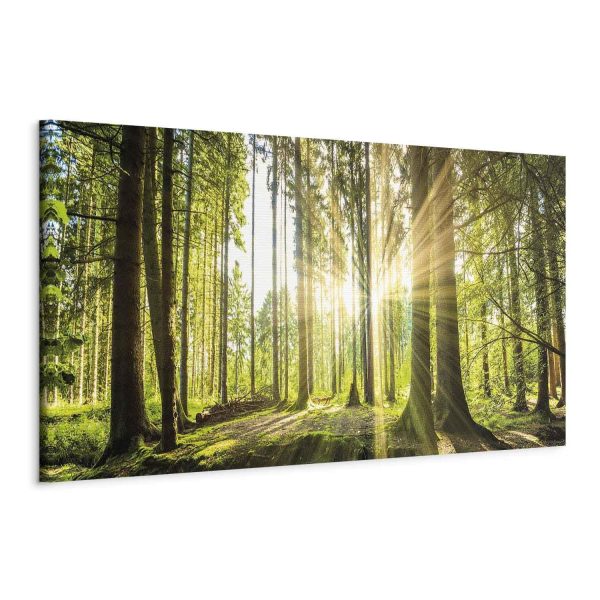 Canvas Print - Daylight - Image 2