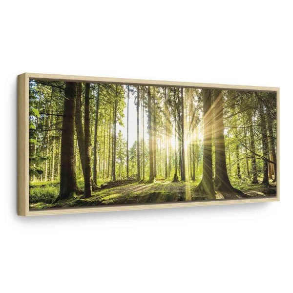 Canvas Print - Daylight