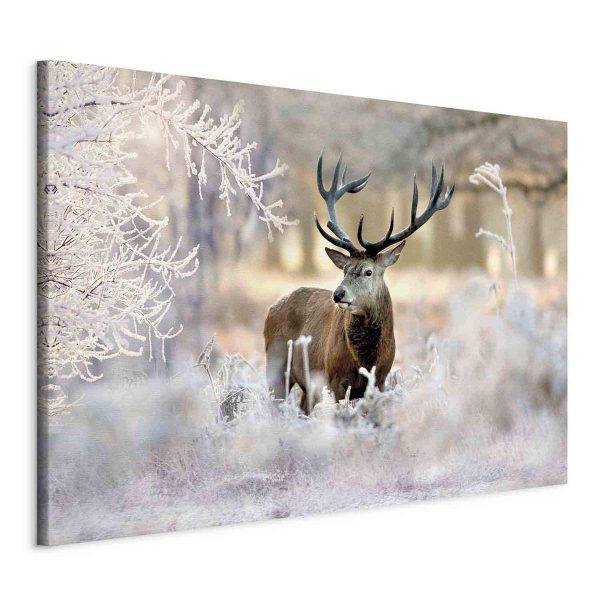 Canvas Print - Deer in the Cold