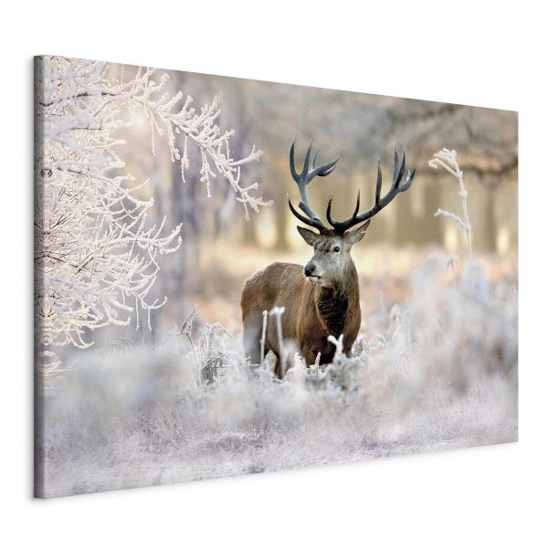 Canvas Print - Deer in the Cold