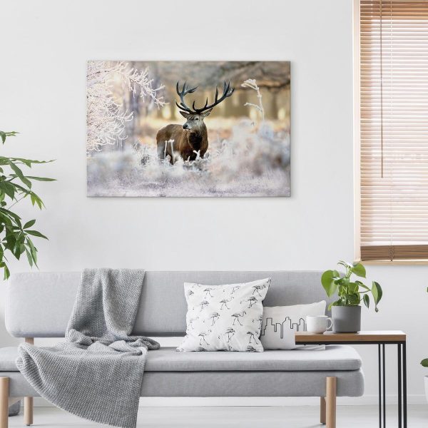Canvas Print - Deer in the Cold