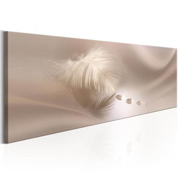 Canvas Print - Delicate Feather - Image 7