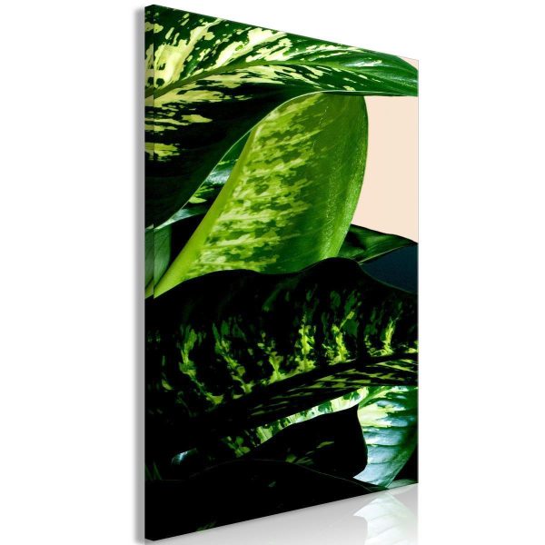 Canvas Print - Dieffenbachia (1 Part) Vertical