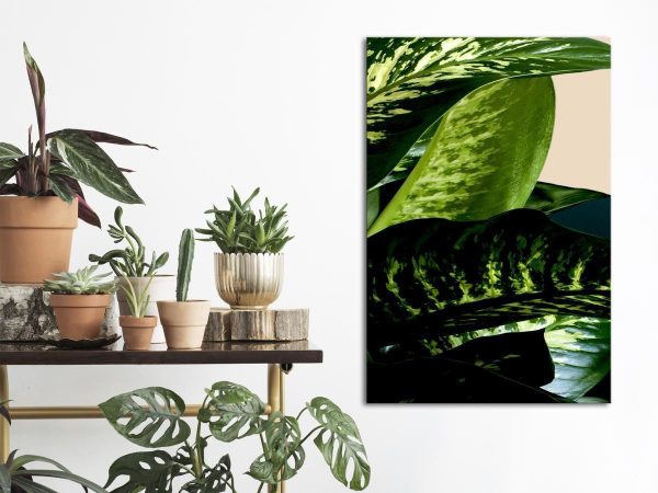 Canvas Print - Dieffenbachia (1 Part) Vertical