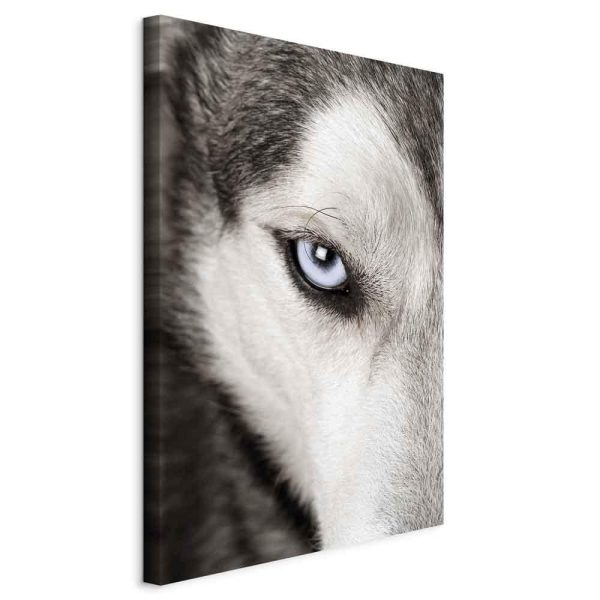 Canvas Print - Dog's Look (1 Part) Vertical