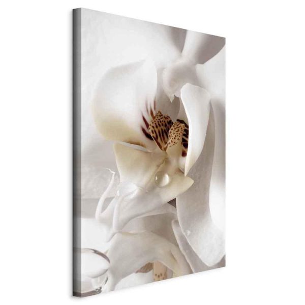 Canvas Print - Drop Of Dreams (1 Part) Vertical