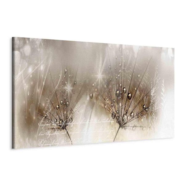 Canvas Print - Drops of Dew (1 Part) Brown Narrow - Image 2