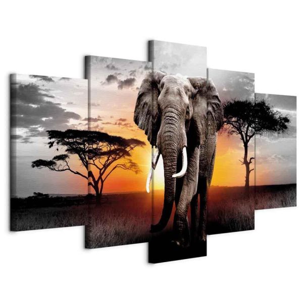 Canvas Print - Elephant at Sunset