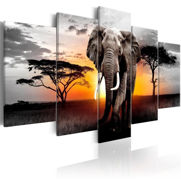Canvas Print - Elephant at Sunset - Image 2