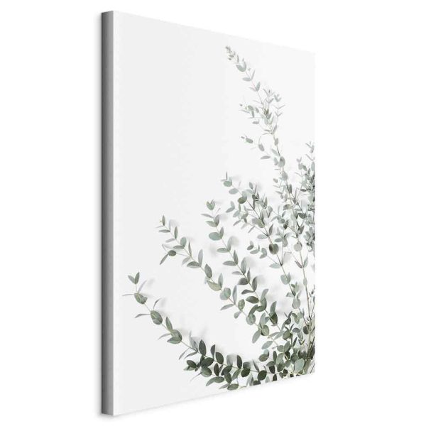 Canvas Print - Eucalyptus Parvifolia (1 Part) Vertical