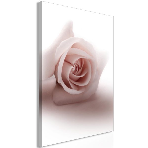 Canvas Print - Floral Glamour Glow (1-part) - Delicate and Pastel Pink Rose