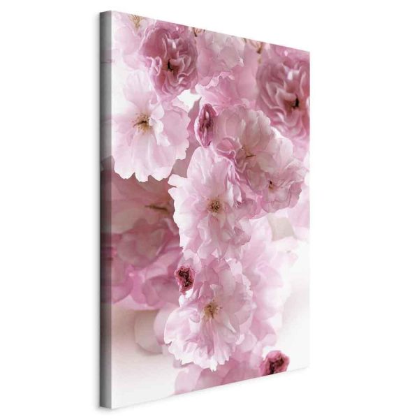 Canvas Print - Flowery Glamour (1-part) - Flower Petals in Shades of Pink