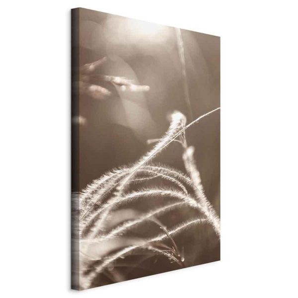 Canvas Print - Fluffy Grass (1 Part) Vertical