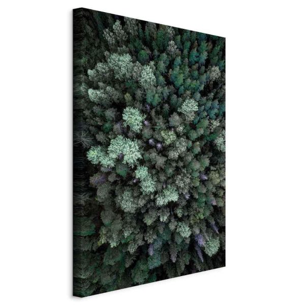 Canvas Print - Flying Over Forest (1 Part) Vertical