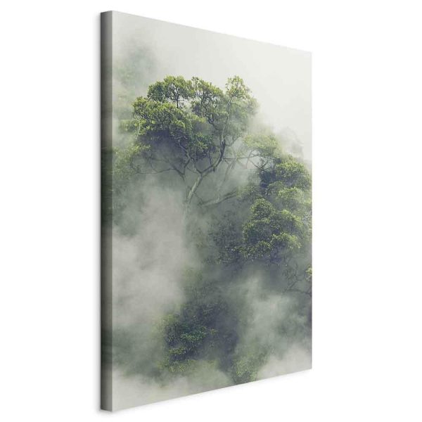 Canvas Print - Foggy Amazon (1 Part) Vertical