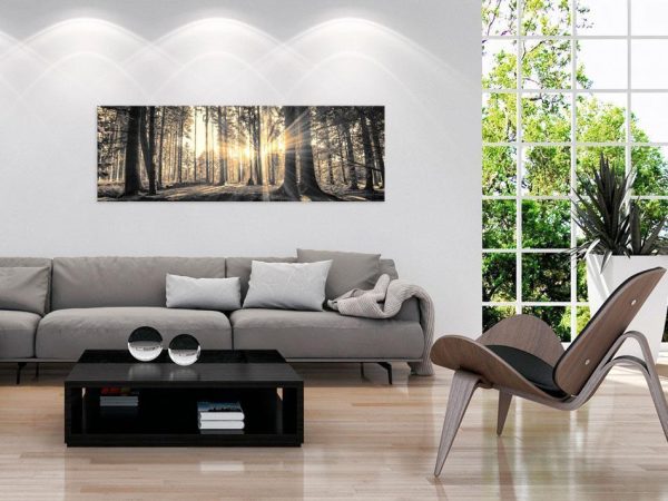 Canvas Print - Forest Sun
