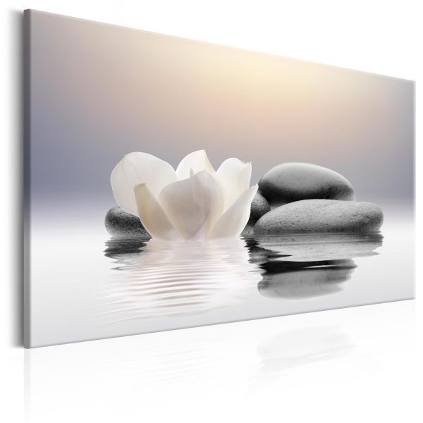 Canvas Print - Garden of Calm - Image 7