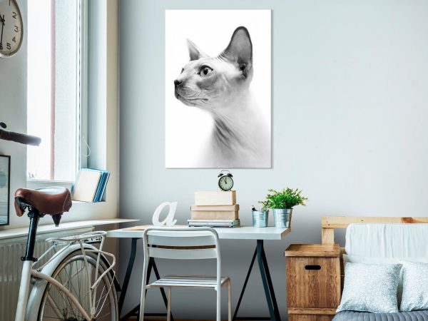 Canvas Print - Hairless Cat (1 Part) Vertical - Image 4