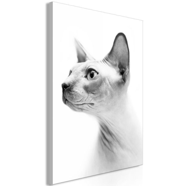Canvas Print - Hairless Cat (1 Part) Vertical