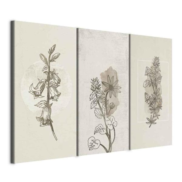 Canvas Print - Herbarium (3 Parts)