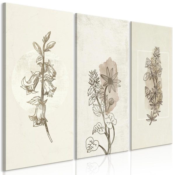 Canvas Print - Herbarium (3 Parts)