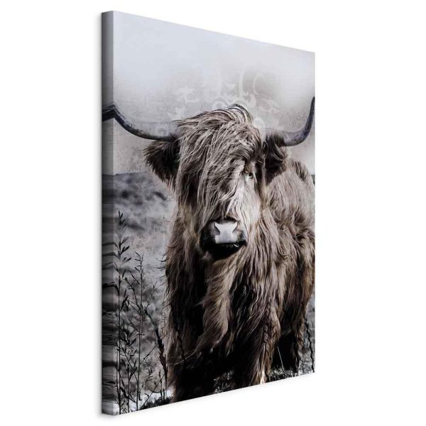 Canvas Print - Highland Cow in Sepia