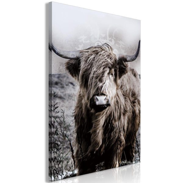 Canvas Print - Highland Cow in Sepia