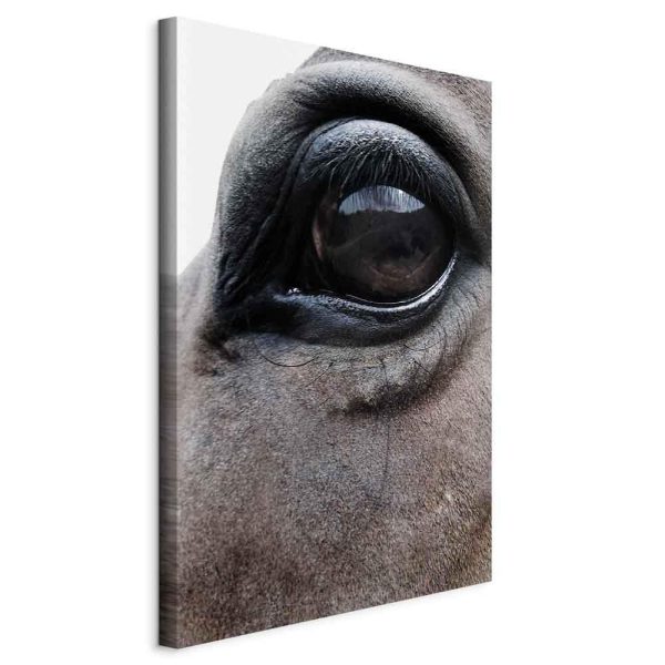 Canvas Print - Honest Eyes (1 Part) Vertical